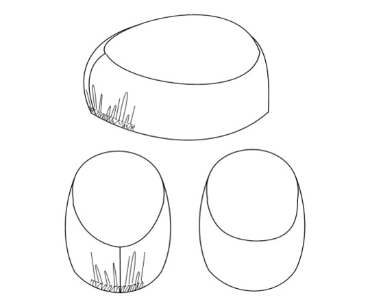 ナガイレーベン 女子手術帽 1組（2枚入） CS502 1組（ご注文単位1組）【直送品】