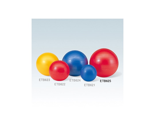 エバニュー ジムボール 75 ETB625 1個（ご注文単位1個）【直送品】