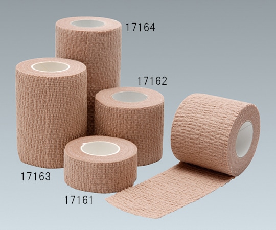 アルケア 自着包帯・サポート 2号 10巻 17162 1箱（ご注文単位1箱）【直送品】