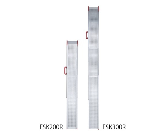 イーストアイ ESKスライドスロープ3m Rタイプ ESK300R 1セット（ご注文単位1セット）【直送品】
