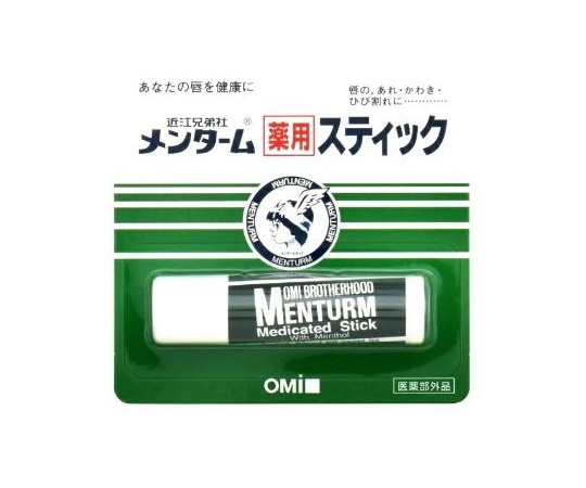 メンターム メンターム 薬用スティック レギュラー 4g  1個（ご注文単位1個）【直送品】