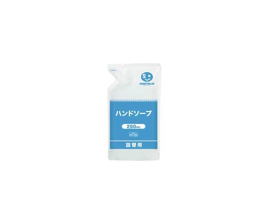 スマートバリュー ハンドソープ 詰替用 250mL 12袋 N206J-12 1箱（ご注文単位1箱）【直送品】
