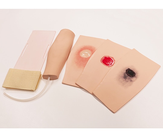 レジーナ 抗がん剤の血管外漏出 前腕モデル BJT-ExL 1個(ご注文単位1個)【直送品】