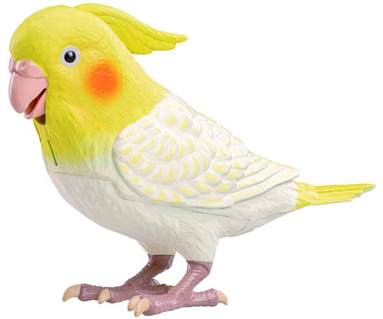 タカラトミーアーツ もっとおしゃべり天才オカメインコちゃん  1個（ご注文単位1個）【直送品】