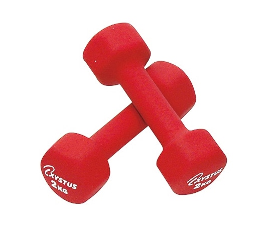 トーエイライト ラバーコートダンベル 2 1組（2個入） H9060 1組（ご注文単位1組）【直送品】