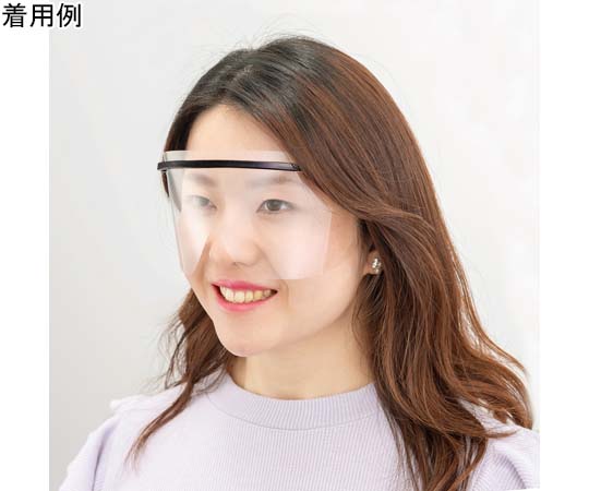 ミノル化学工業 HMアイシールド ブラック 10セット （1セット:フレーム1個+替シールド5枚）  1箱（ご注文単位1箱）【直送品】