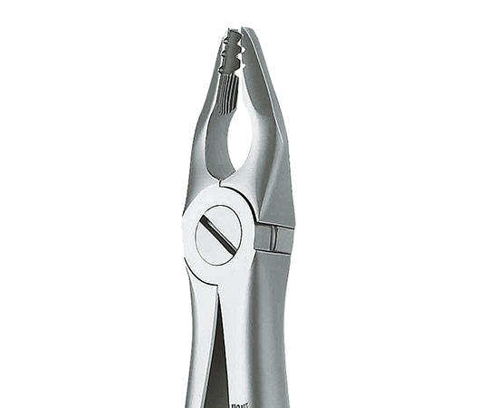 マイクロテック 抜歯鉗子 ROBA 上顎用 #34N h1223407z 1個（ご注文単位1個）【直送品】