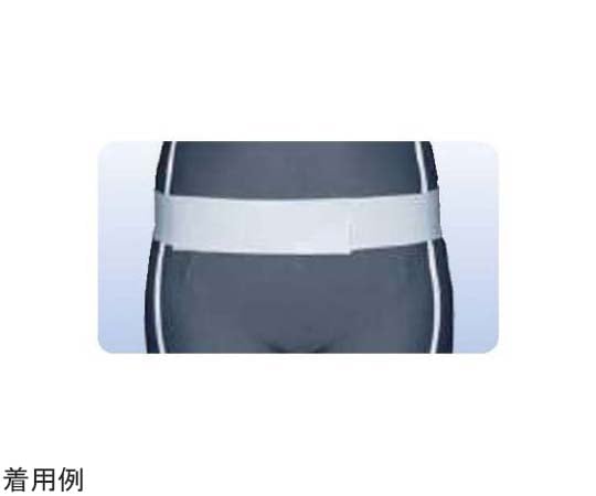 アシスト 万能ゴムベルト ホワイト SS 02544 1本（ご注文単位1本）【直送品】