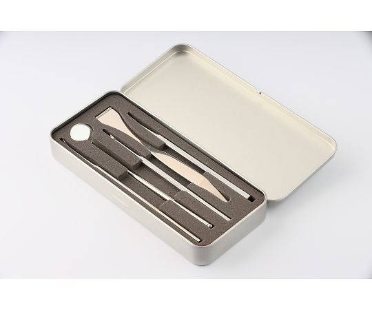 ニッケン 5pステンレスデンタルツールセット DT-5000 1個（ご注文単位1個）【直送品】