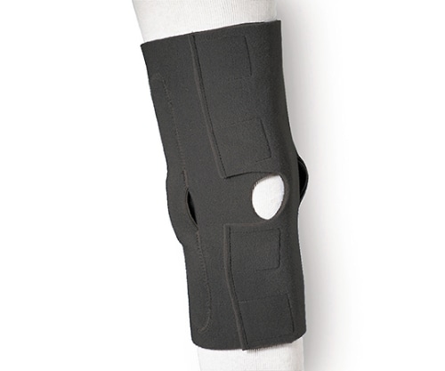 日本衛材 ニータックスF2 L 1個 NE-1013 1個(ご注文単位1個)【直送品】