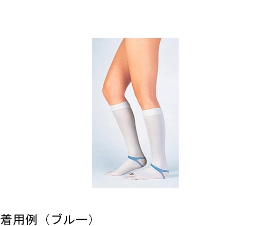 東レ・メディカル ファインサポート 膝下(ハイソックス) ライトグリーン 1ケース(20本×4箱入) FS-H-SP 1ケース(ご注文単位1ケース)【直送品】