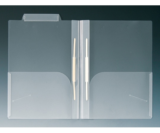 日本ホップス カルテフォルダー（A4ヨコ/Wファスナー付） 250枚 CF-A4L-2F2WH 1箱（ご注文単位1箱）【直送品】