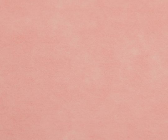 アポロ衛材 ディスポ防炎カーテン 吊り下げ式 ピンク L  1枚（ご注文単位1枚）【直送品】