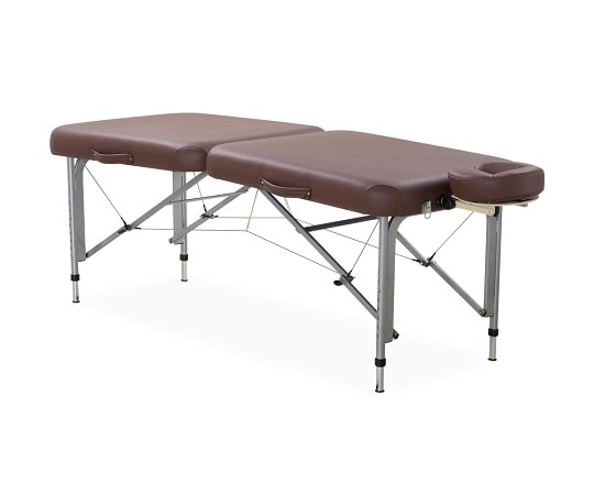 セイヨー 折りたたみ診察台 ブラウン 75×182×60~82cm B30BR 1台（ご注文単位1台）【直送品】