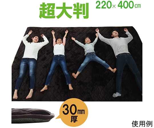 アズワン ラグ こたつ敷き布団 長方形 大きい 幅広ラグ ブラウン 約220×400cm 1161710066513 1個（ご注文単位1個）【直送品】