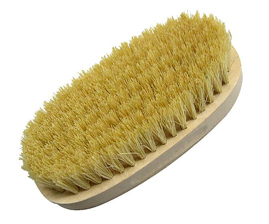 三共コーポレーション 手洗いブラシ 小判型（パキン）  1個（ご注文単位1個）【直送品】