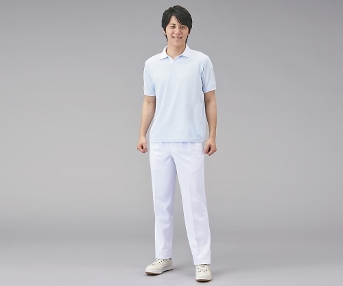 ディーフェイズ メンズポロシャツ サックス L C-22 1枚(ご注文単位1枚)【直送品】