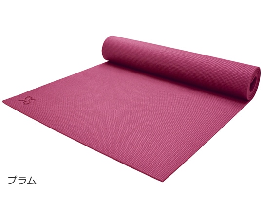 BAJ RS ヨガマット Plum （6mm） RSG004 1個（ご注文単位1個）【直送品】