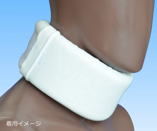 日本衛材 エースカラーソフト2 L NE-258 1個(ご注文単位1個)【直送品】