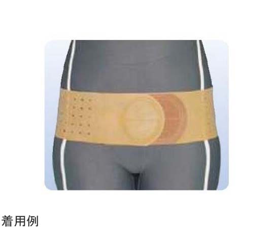 アシスト 骨盤バンド ブラウン M 01623 1本（ご注文単位1本）【直送品】