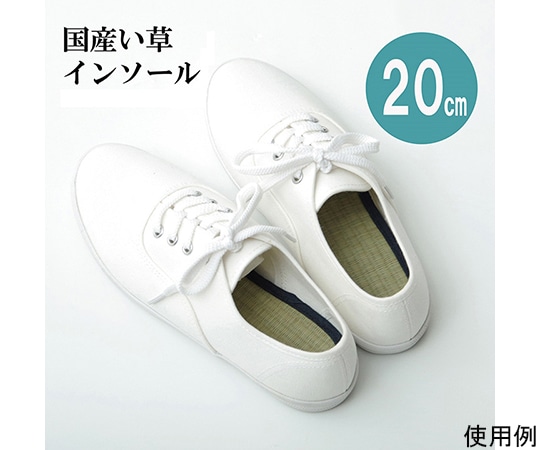 アズワン インソール ジュニア 消臭 抗菌 『い草インソール』 ネイビー 約20cm 1120290190411 1個（ご注文単位1個）【直送品】