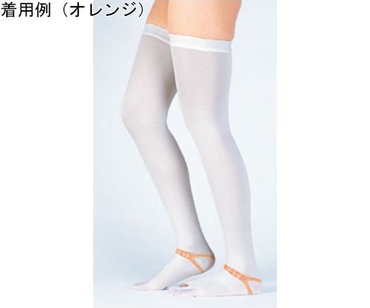 東レ・メディカル ファインサポート 股下（ストッキング） ブルー 1ケース（20本×4箱入） FS-S-MT 1ケース（ご注文単位1ケース）【直送品】