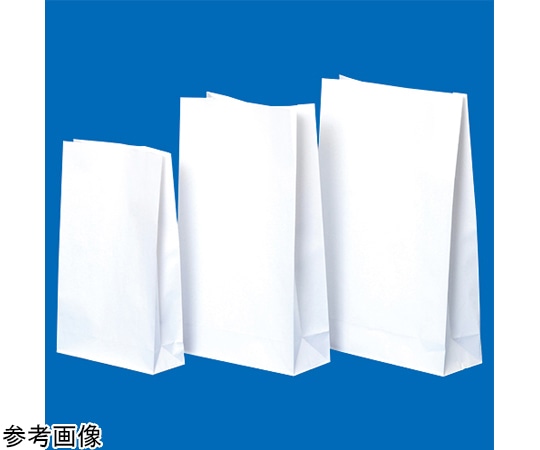 シンリョウ 角底薬袋LL（無地） 1箱（500枚） 500980 1箱（ご注文単位1箱）【直送品】