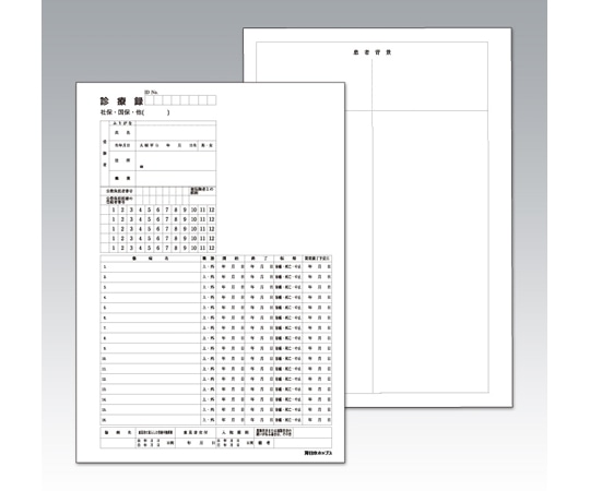 日本ホップス カルテ用紙 1号紙 500枚入 KP-001 1枚（ご注文単位1枚）【直送品】