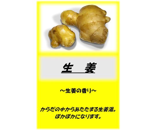 アサヒ商会 アサヒ入浴剤 生姜 10kg  1箱（ご注文単位1箱）【直送品】