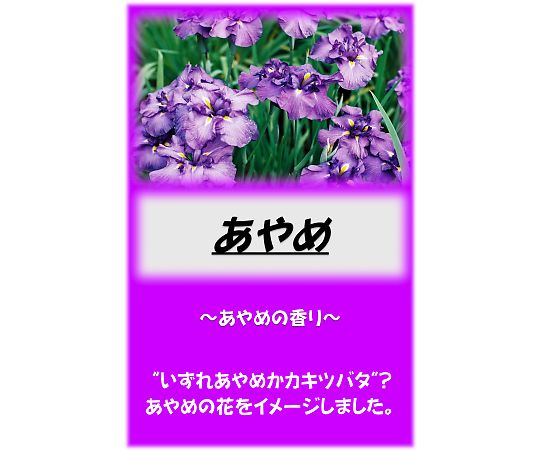 アサヒ商会 アサヒ入浴剤 あやめ 10kg  1箱（ご注文単位1箱）【直送品】
