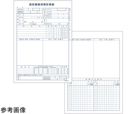金鵄製作所 カルテ1号 B5 90kg 国保 k-002 500枚入 41022-202 1箱（ご注文単位1箱）【直送品】