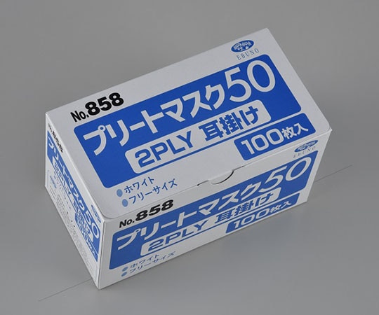 エブノ プリートマスク50 2PLY 耳掛 1ケース(100枚×50箱入) 858 1ケース(ご注文単位1ケース)【直送品】
