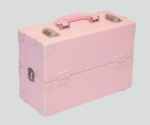 アズワン 尊体用メイク剤 ピンク ID 1セット（ご注文単位1セット）【直送品】