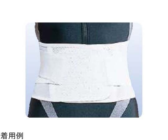 アシスト デラックス・メッシュ L 00058 1本（ご注文単位1本）【直送品】