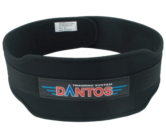 淡野製作所 ウェイトリフティングベルトST/L D-1110 1本（ご注文単位1本）【直送品】