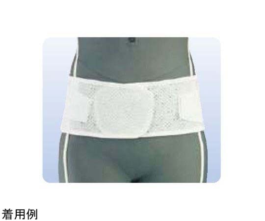 アシスト スーパーAZ LL 00713 1本（ご注文単位1本）【直送品】