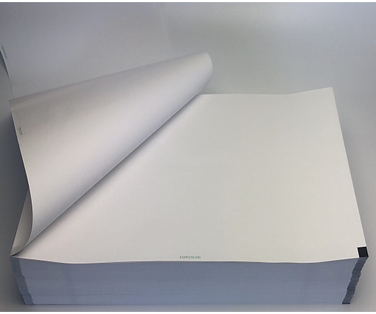 ちばら 心電図記録紙 幅210mm×長300m/折295mm（折り畳み型） 2冊入 CQW210-30-295 1箱（ご注文単位1箱）【直送品】