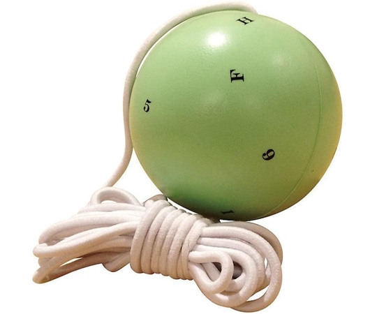 脳力開発研究所 マースデンボール VTM250 1個（ご注文単位1個）【直送品】