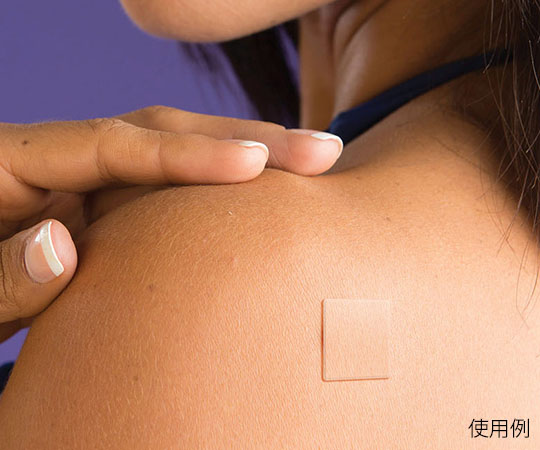 ザイコアインターナショナル エピダーム エピタブ 6枚入 クリア  1個（ご注文単位1個）【直送品】