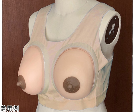 レジーナ 産褥乳房モデル装着型 1組2個入 BMS-12 1組(ご注文単位1組)【直送品】