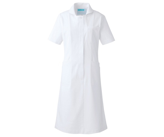 KAZEN ワンピース半袖 白 LL 020-20 LL 1枚（ご注文単位1枚）【直送品】