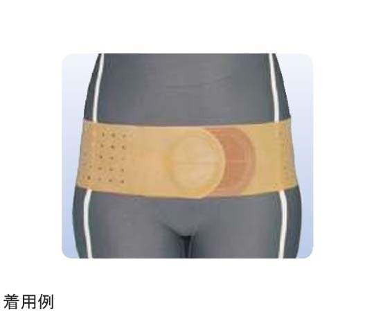 アシスト 丸型骨盤バンド ブラウン S 18301 1本（ご注文単位1本）【直送品】