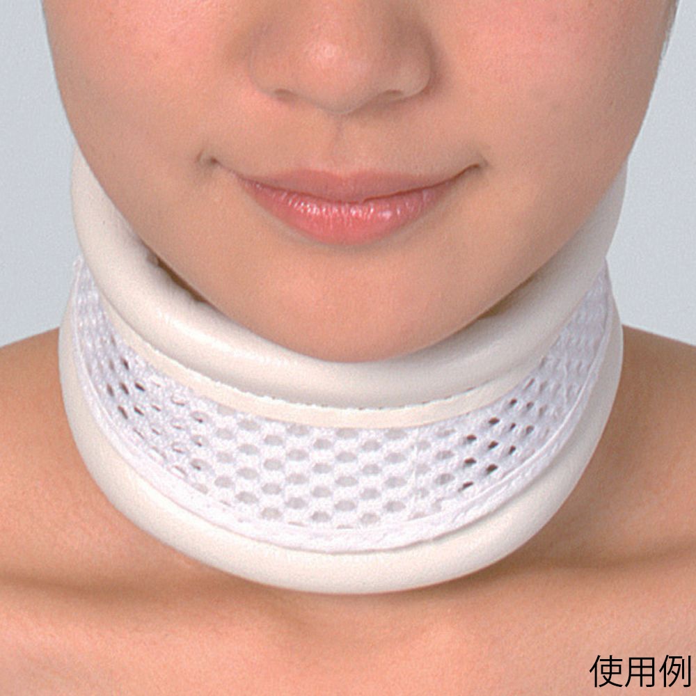 竹虎 ドルフハード 2号 L 035034 1枚（ご注文単位1枚）【直送品】