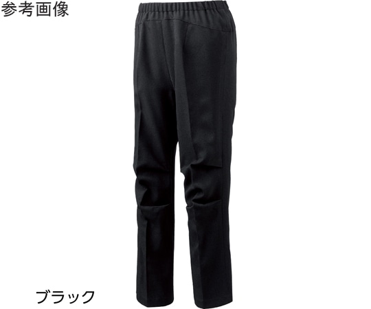 ケアファッション 座・ビューティフォーパンツ（婦人）ブラック LL 820001 1個（ご注文単位1個）【直送品】