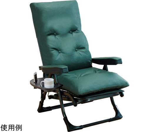 ファミリー・ライフ 日本製 NEWくつろぎのリクライニングアームチェア DXII グリーン 0411230 1箱（ご注文単位1箱）【直送品】