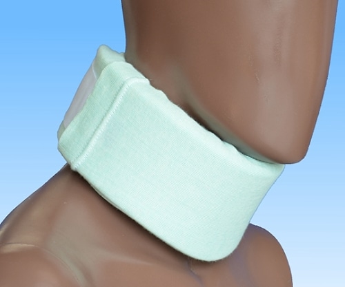 日本衛材 エースカラーソフトα LL 1個 NE-2574 1個（ご注文単位1個）【直送品】