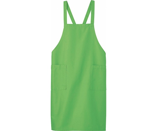 WHISEL（自重堂） エプロン グリーン F 43609 1枚（ご注文単位1枚）【直送品】