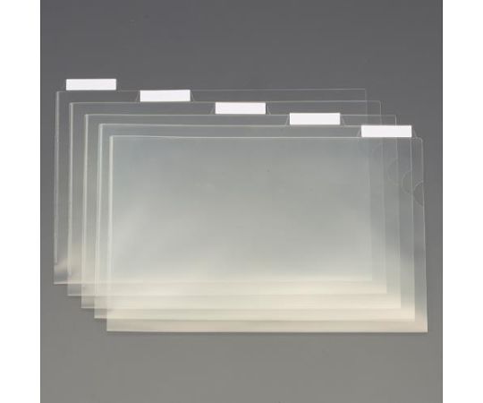 ライオン事務器 A4 よこ型カルテホルダー（高透明/5枚） EA762CC-10 1式（ご注文単位1式）【直送品】