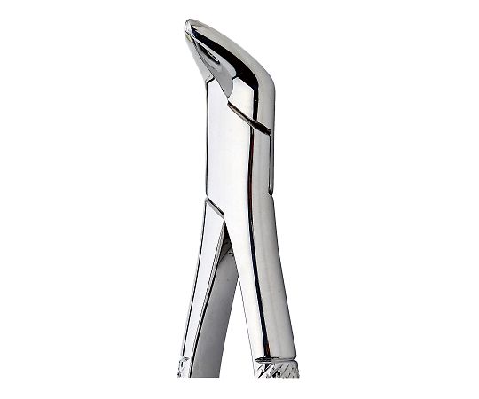 プレミアムプラスジャパン 抜歯鉗子 44 下顎残根用 FC-0321 1本（ご注文単位1本）【直送品】