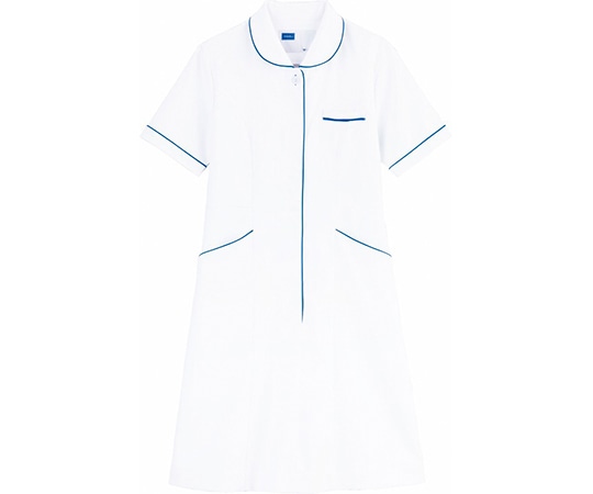 WHISEL（自重堂） ワンピース ホワイトブルー L WH12000 1枚（ご注文単位1枚）【直送品】